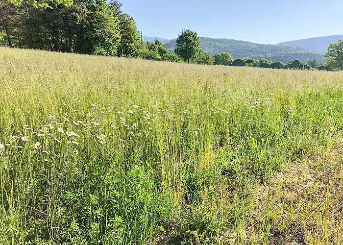 Maison De Campagne Dans Le Parc Regional Du Verdon - Bastide 140M2 Et Bastidon 85M2