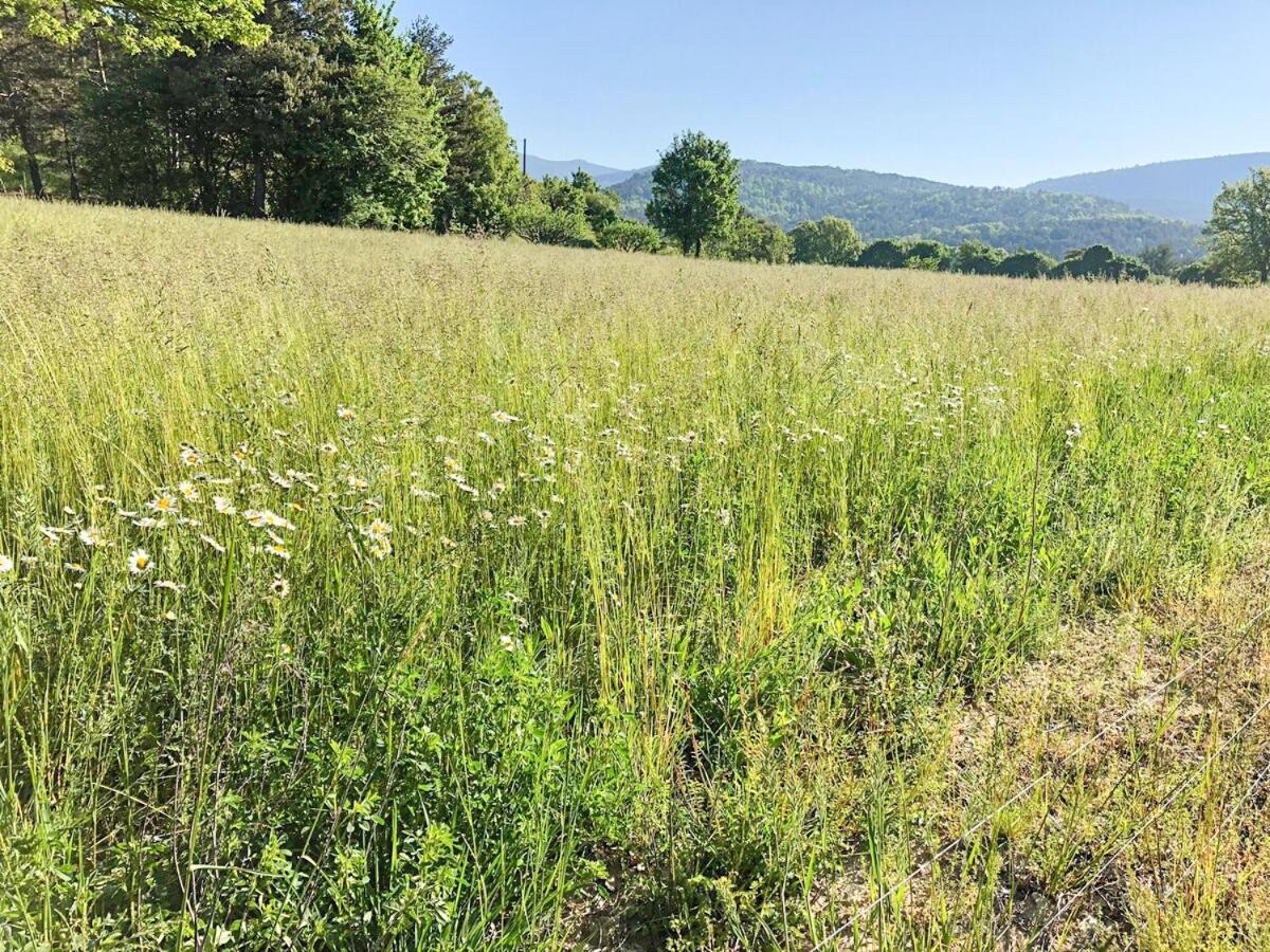 Dans Le Parc Regional Du Verdon - Bastide 140m2 Et Bastidon 85m2