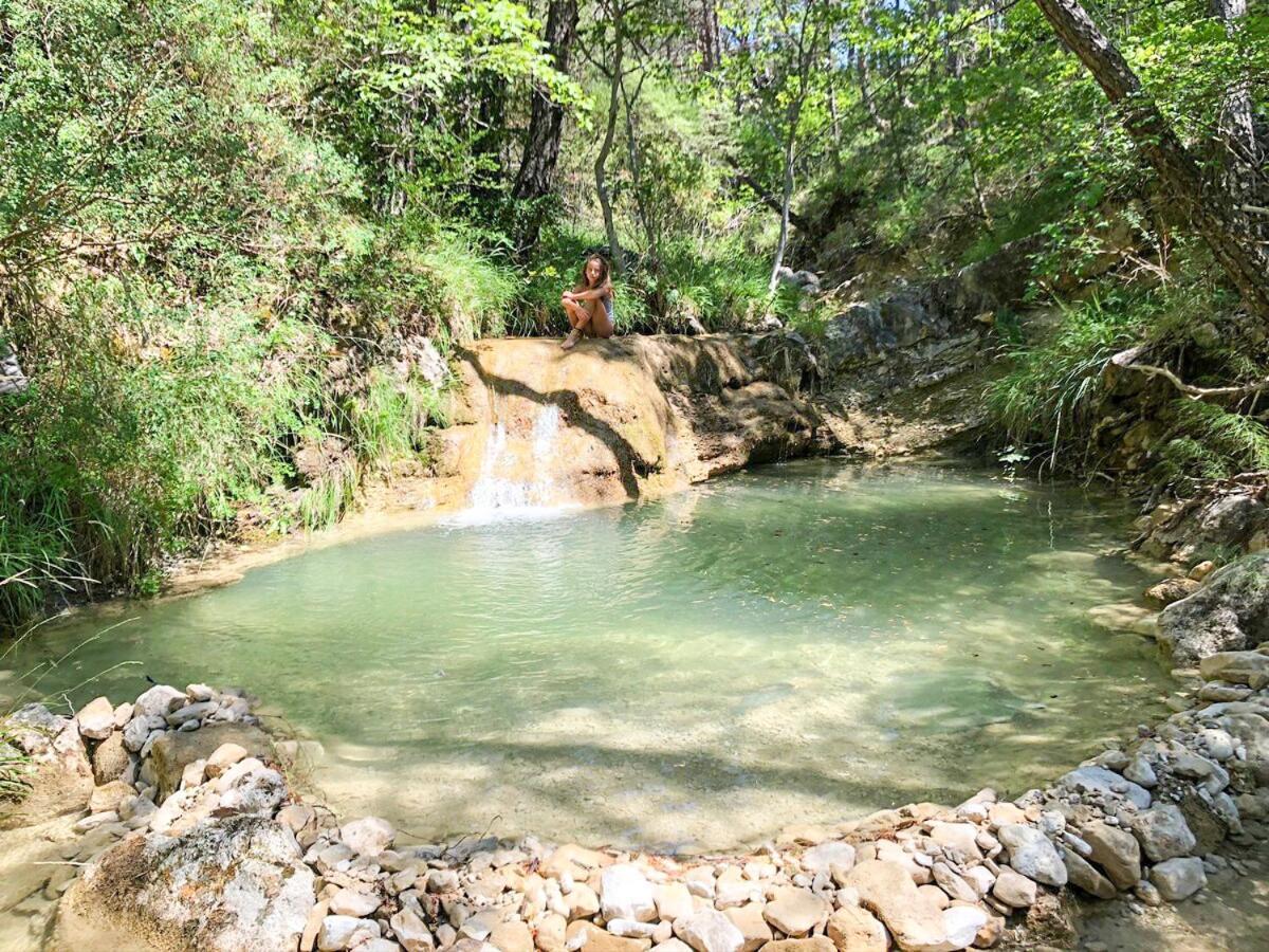 Dans Le Parc Regional Du Verdon - Bastide 140m2 Et Bastidon 85m2 *