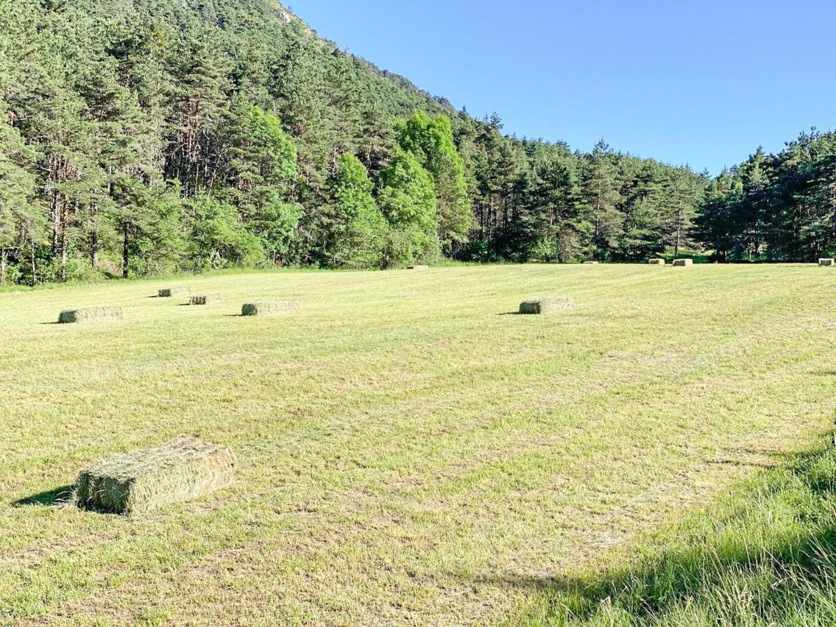 Dans Le Parc Regional Du Verdon - Bastide 140m2 Et Bastidon 85m2 * La Martre