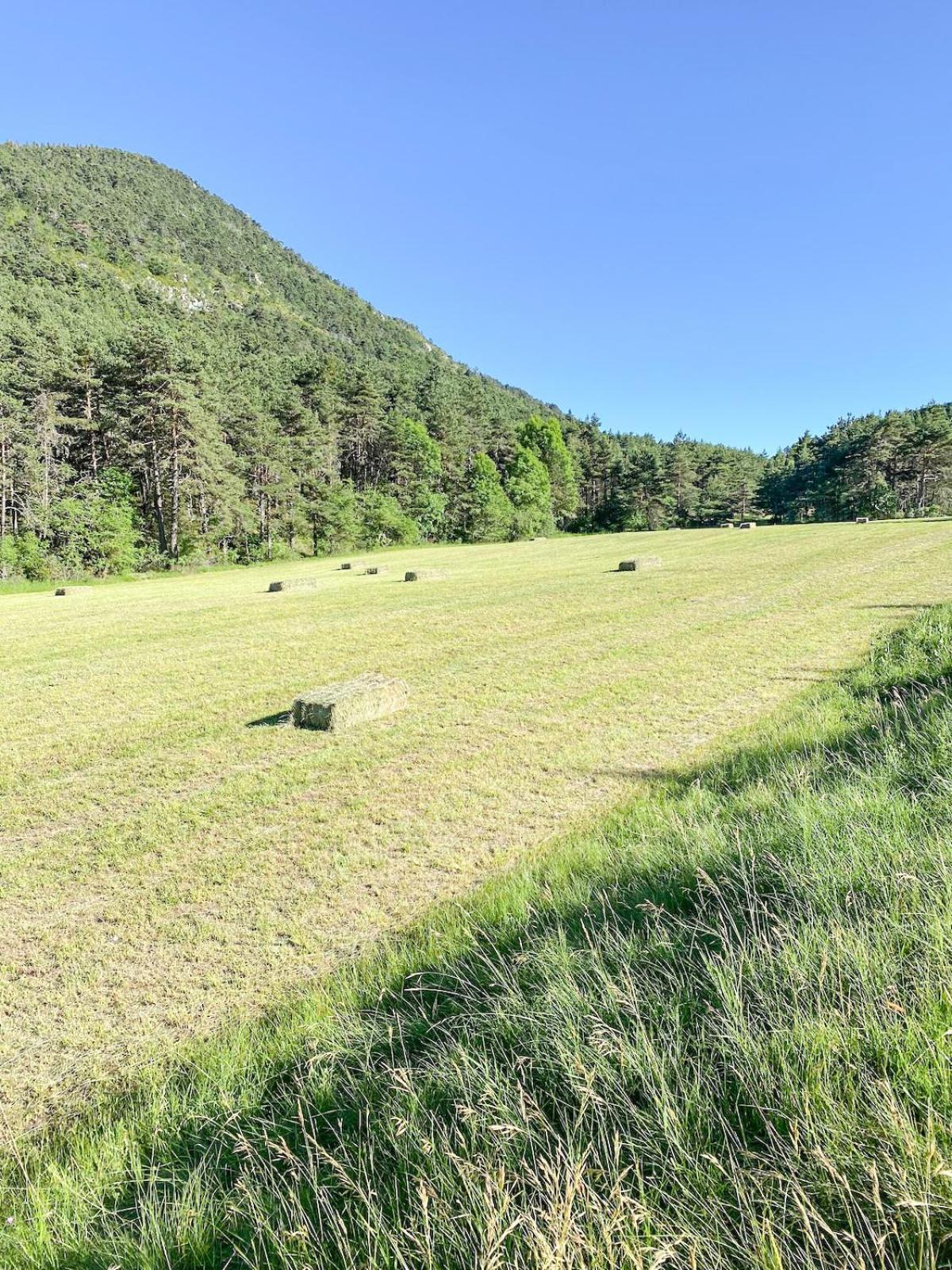 Dans Le Parc Regional Du Verdon - Bastide 140m2 Et Bastidon 85m2 *