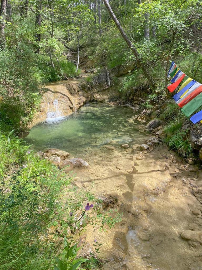 Dans Le Parc Regional Du Verdon - Bastide 140m2 Et Bastidon 85m2 *